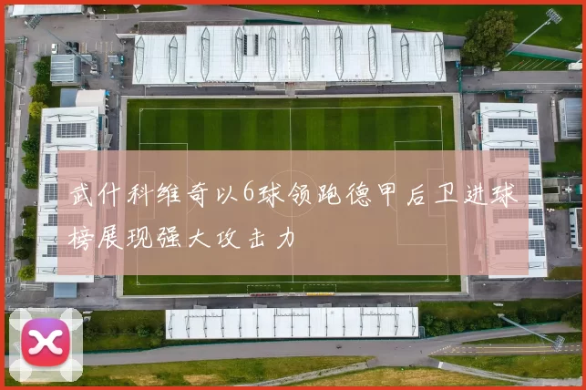 武什科维奇以6球领跑德甲后卫进球榜展现强大攻击力